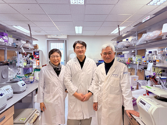 KAIST 연구팀이 지방세포 생성을 막는 '차단 스위치'를 알아냈다. [사진=KAIST]
