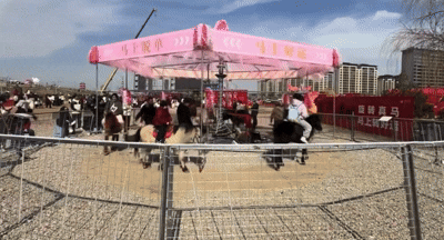 중국에서 논란이 된 살아있는 회전목마 [사진=더우인]