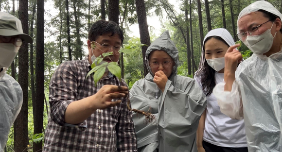 산양삼 현장교육 [사진=한국임업진흥원]