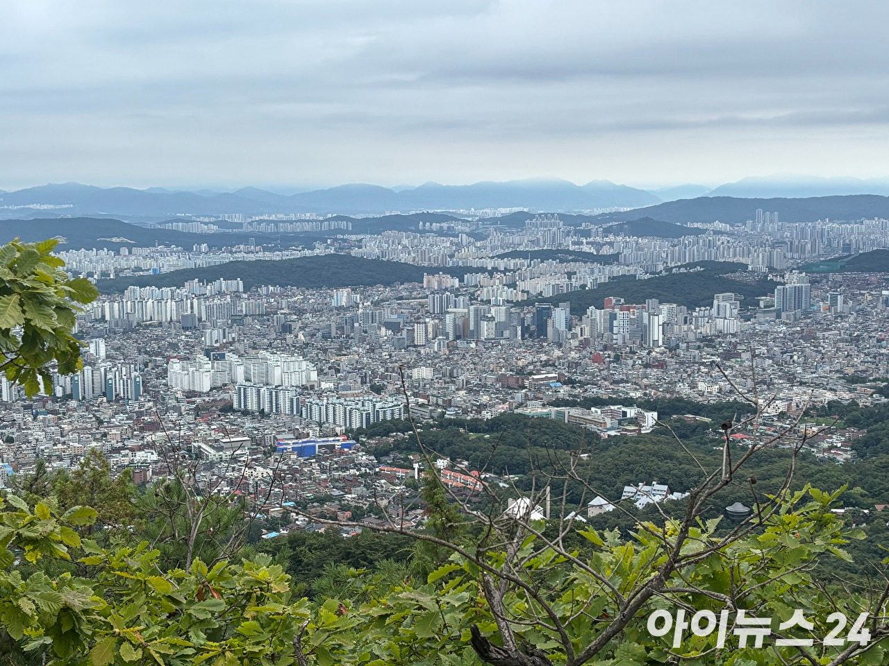 서울 아파트 전경. [사진=김민지 기자]