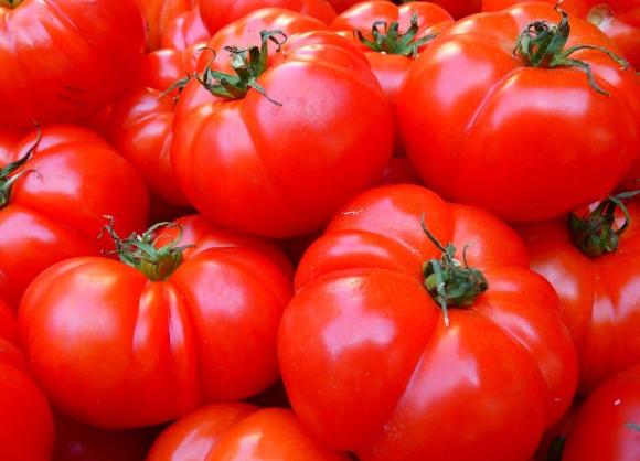 면역력을 증진시키는 데에 도움이 되는 식품들이 전문의를 통해 소개됐다. 사진은 본 기사 내용과 무관. [사진=lamuscle]