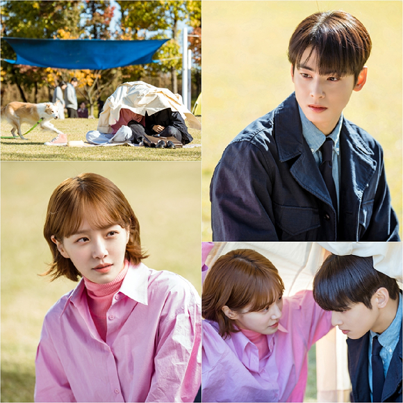 '오늘도 사랑스럽개' 차은우 박규영 스틸. [사진=MBC]