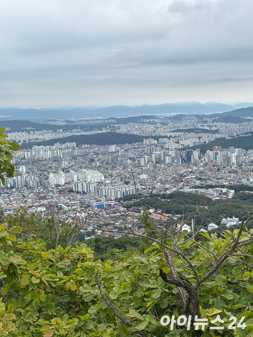 서울 아파트 전경. [사진=김민지 기자]