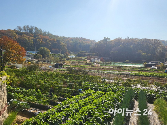 7일 경기도 의정부 용현동 개발제한구역 일원. [사진=이수현 기자]