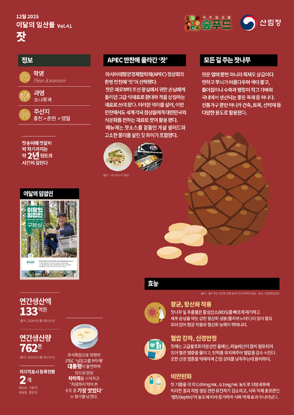 2025 이달의 임산물 12월 '잣' [사진=산림청]