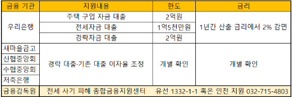 금융권 전제 사기 피해 지원방안. [표=아이뉴스24]