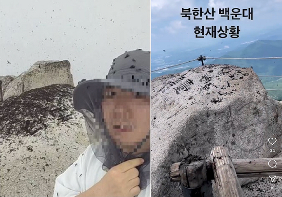 북한산 등산객들이 정상에 출몰한 러브버그떼 모습을 촬영해 공유했다.  [사진=인스타그램 갈무리 ]