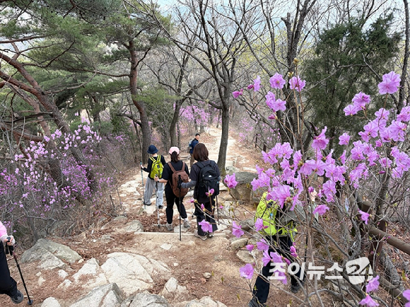 오는 24일 조이뉴스24(대표 이창호)가 주최한 '산악인 오은선 대장과 함께 하는 제 13회 희망찾기 등산&middot;트레킹교실'이 북한산 진달래능선에서 열리는 가운데 4일 등산객들이 진달래능선에서 산행하고 있다. [사진=정소희 기자]