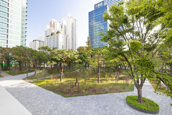 대한항공이 1차 그린 스카이패스(GREEN SKYPASS)로 도심 숲 조성에 참여한 서울 양천구 오목공원 전경 [사진=대한항공]