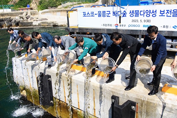 지난 9일 울릉군과 포스코 관계자들이 바다숲 조성사업 관리 이관식 행사를 진행하며, 치어를 방류하고 있다. [사진=울릉군청]