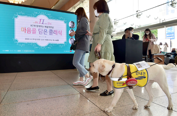 KT가 서울 예술의전당 콘서트홀에서 ‘마음을 담은 클래식’ 공연을 개최했다. 사진은 29일 오전 11시에 열린 공연을 관람하기 위해 나눔재활센터의 시각장애인들이 안내견 화담이와 함께 공연장에 입장하고 있는 모습 [사진=KT]