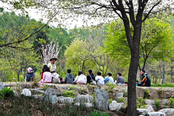 산림청 산하 국립자연휴양림관리소가 전국 45개 국립자연휴양림에서 산림교육·치유프로그램을 본격 운영한다. 사진은 국립유명산지자연휴양림 자생 식물원 숲해설 장면이다. [사진=산림청/국립자연휴양림관리소]