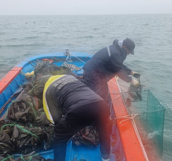 득량만 키조개 시범 양식 ‘연구·교습어장’ 관계자들이 키조개 종패를 입식하고 있다 [사진=보성군]