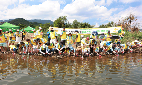 에쓰오일 임직원 가족, 대학생 천연기념물지킴이단 등 봉사활동 참가자들이 지난 2일 경기 가평군 청평면 달마공원 앞 수변에서 황쏘가리 치어를 방류하고 있다. [사진=에쓰오일]