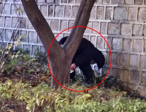 제주 한라산 등산로에서 중국인 관광객으로 추정되는 여성이 아이에게 대변을 보게 하는 장면이 포착돼 논란이 일고 있다. [사진=한라산국립공원 홈페이지 게시판]