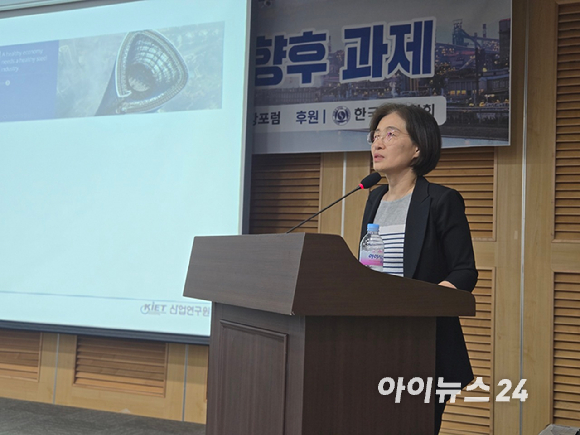 정은미 산업연구원 선임연구위원이 12일 국회서 진행된 'K-스틸법 발의, 그 의미와 향후 과제' 세미나에서 발언하고 있다. [사진=최란 기자]