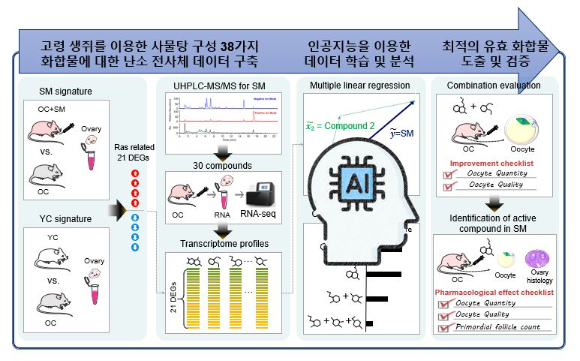 한의학에서 난임 치료에 사용하는 사물탕에 대한 새로운 접근이 나왔다. 인공지능(AI)을 활용했다. [사진=한의학연]