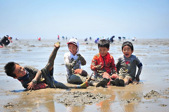 전라북도 고창군 심원면의 만돌마을 앞 바다에서 아이들이 갯벌체험을 즐기고 있다. [사진=고창군청]