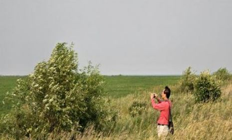 시베리아 초원 전경. [사진=윤영선]