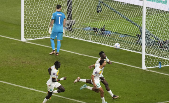 세네갈의 사르가 2022 카타르월드컵 A조 조별리그 3차전 에콰도르와 경기에서 페널티킥으로 선제골을 넣은 뒤 팀 동료들과 환호하고 있다. 세네갈은 에콰도르에 2-1로 이겨 16강 진출에 성공했다. [사진=뉴시스]