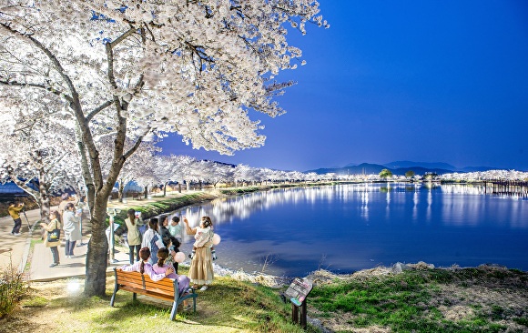 어느 봄날 낙동강 지산샛강 생태공원 전경  [사진=구미시]