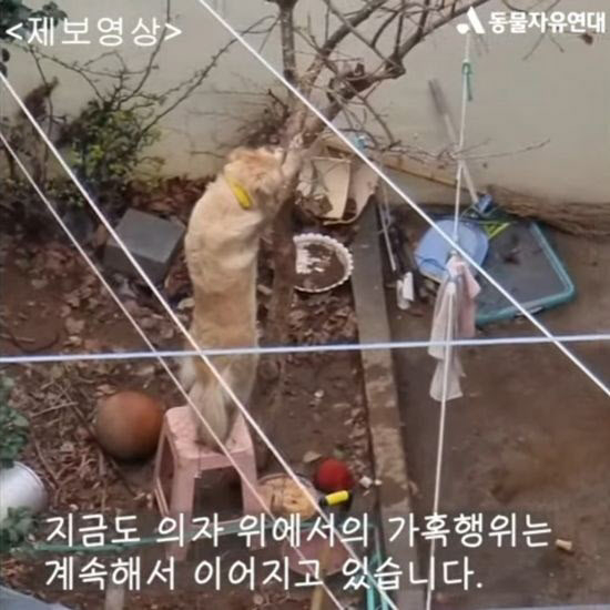 [사진=동물자유연대]