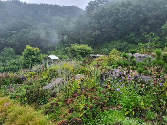 강원특별자치도 인제군 찍박골정원. [사진=산림청]