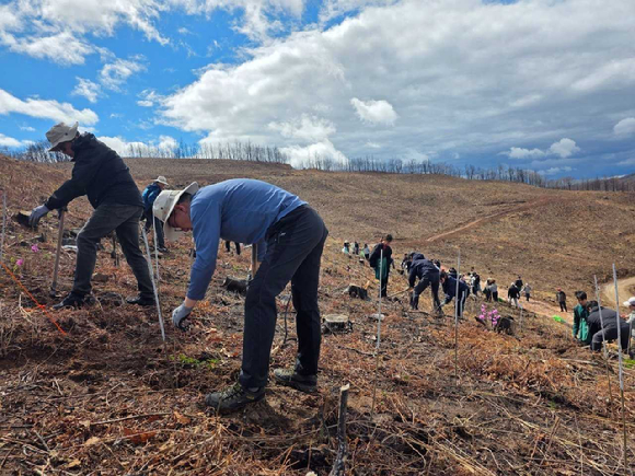 SKT-유한킴벌리, 안동 산불 피해 복원에 맞손