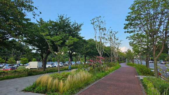 2025년 녹색도시 우수사례 공모 가로수분야 장려상(제주특별자치도 제주시) [사진=산림청]