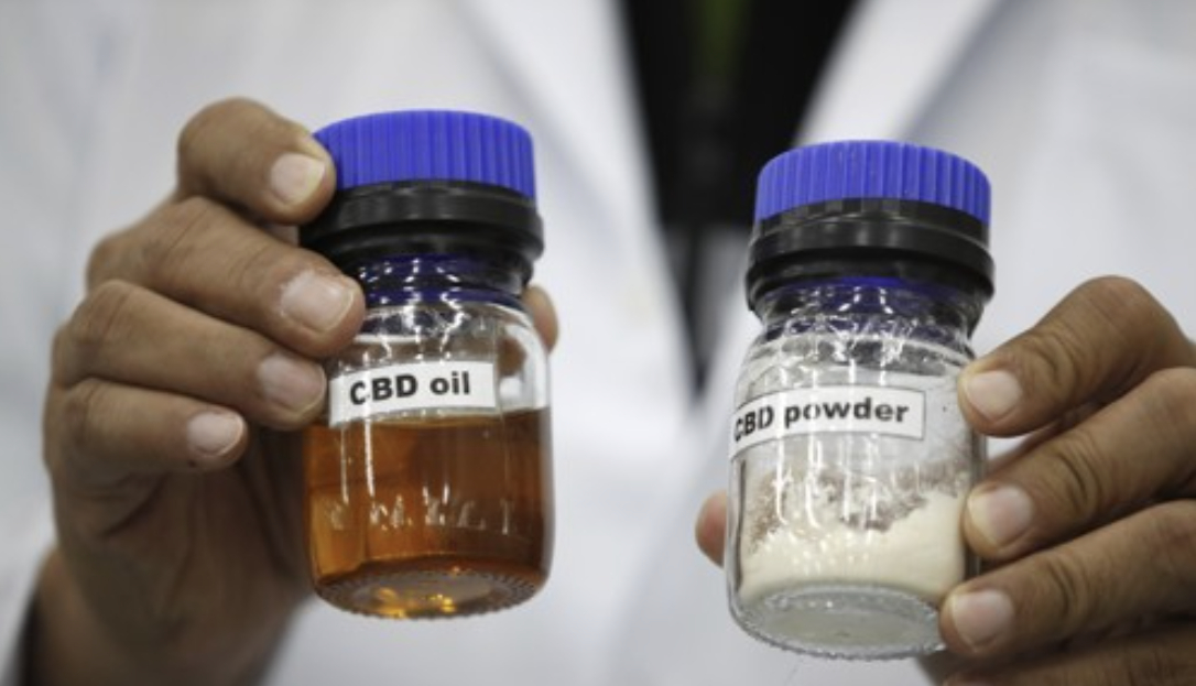 태국 파툼타니주의 대마 추출&middot;생산 공장에서 한 제약 과학자가 태국 전통의약 제조에 쓰이는 칸나비디올(CBD) 오일과 CBD 분말을 들어 보이고 있다. 2022.09.08 [사진=EPA/연합뉴스]