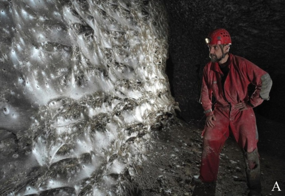 11만마리가 만든 &apos;초대형 거미줄&apos; 보세요…그리스 동굴에서 발견