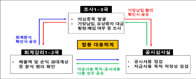 [사진=금융감독원]