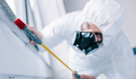 고농도 카페인이 파리 수명을 단축시키는 데 뛰어난 효과를 발휘한다는 연구 결과가 발표됐다. 사진은 본 기사 내용과 무관함. [사진=Self Control Pest]