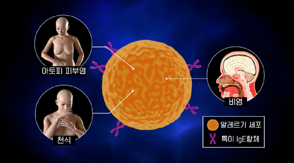 EBS 명의 스틸컷. [사진=EBS]