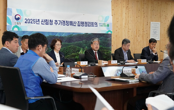 임상섭 산림청장(오른쪽에서 세번째)이 7일 정부대전청사에서 '2025년 추가경정예산 집행점검회의'를 주재하면서 산불피해지 복구와 산불예방에 대한 예산을 차질 없이 집행해 산불대응과 2차 피해 예방에 만전을 기할 것을 당부했다. [사진=산림청]