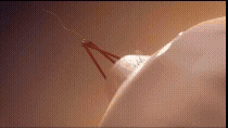 NASA가 화성에 헬기를 보내는 'SKYFALL' 프로젝트를 추진하고 있다. [사진=NASA]