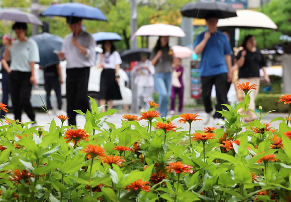 광주 북구청 앞에서 시민들이 내리는 비에 우산을 쓰고 걷고 있다. [사진=연합뉴스]