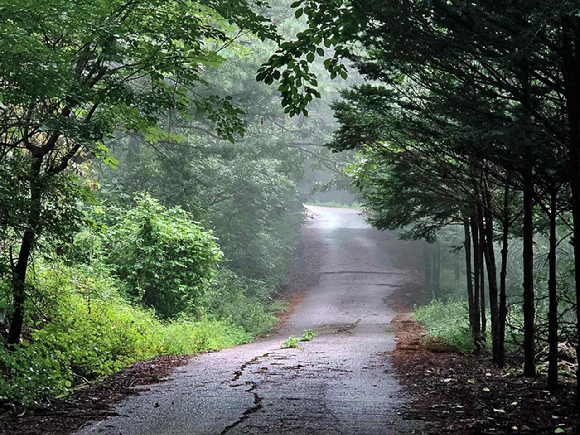맑은 날의 소백산 비로봉 [사진=박성기 작가 ]