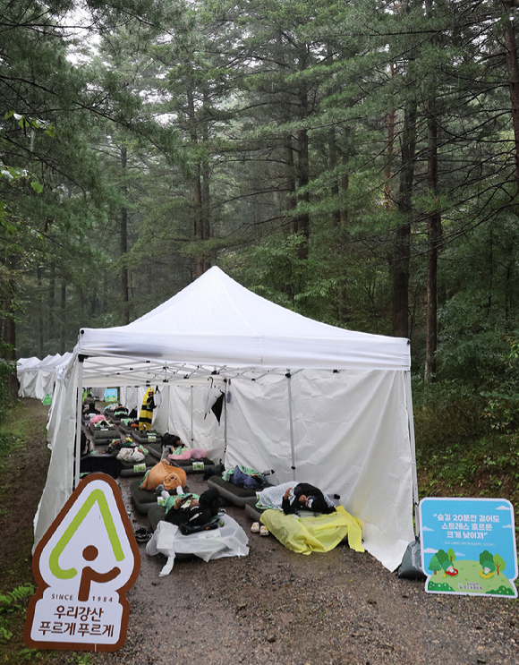 유한킴벌리 '2025 우리강산 푸르게 푸르게 '숲속 꿀잠대회''가 28일 남양주시 광릉숲에서 열렸다. 사진은 숲속에서 숙면을 취하는 참가자들의 모습. [사진=유한킴벌리]