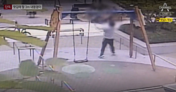 부부싸움을 하고 홧김에 그네를 타고 있던 딸을 강하게 밀어 떨어뜨린 아빠가 아동학대 혐의로 입건됐다. [사진=채널A의 보도화면 캡처]