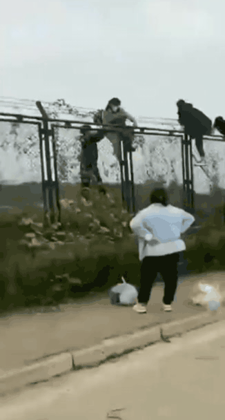 폭스콘 정저우 공장에서 근무하는 직원들이 담을 넘어 탈출하는 모습 [사진=BBC 베이징 특파원 스티븐 맥도넬 트위터]