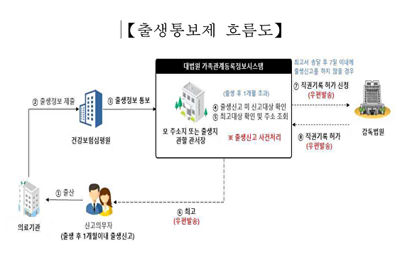 출생통보제 흐름도 [사진=안성시]