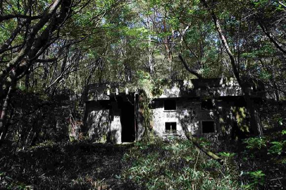 2025년 국가산림문화자산으로 신규 지정된 한라산 남성대 대피소 [사진=산림청 ]