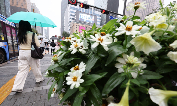 가을비 내리는 광화문 [사진=연합뉴스 자료사진]