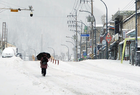 폭설이 내리고 그친 3일 강원 태백시에 많은 눈이 내려 쌓여 있다. [사진=연합뉴스]