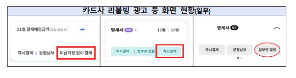 일부 신용카드 리볼빙 서비스 광고 실태 [표=금융감독원]