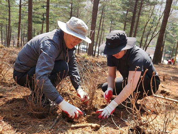 산림청 부여국유림관리소와 한국수목장문화진흥재단은 2일 충남 보령시 국립기억의숲에서 '제81회 식목일 기념 나무심기 행사'를 개최했다. [사진=산림청]