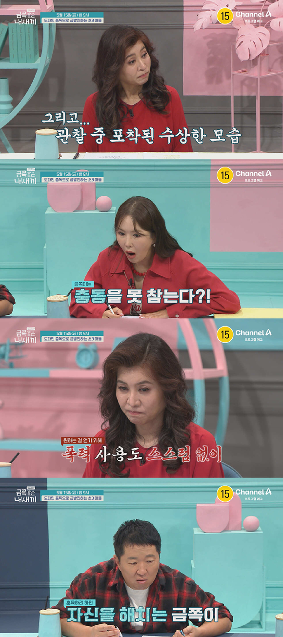 금쪽같은 내새끼 [사진=채널A ]