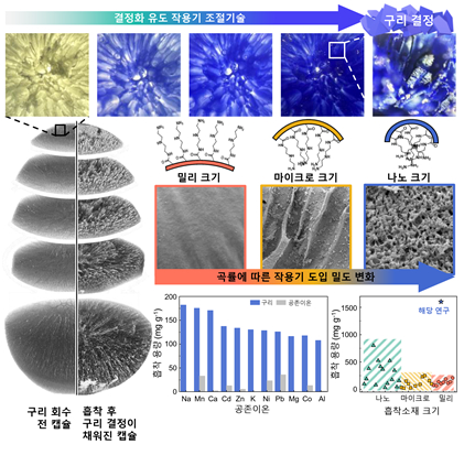 국내 연구팀이 폐수에서 구리를 회수할 수 있는 흡착제를 개발했다. [사진=한국연구재단]