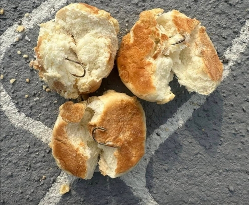 낚싯바늘이 박힌 빵 [사진=SNS 캡처]